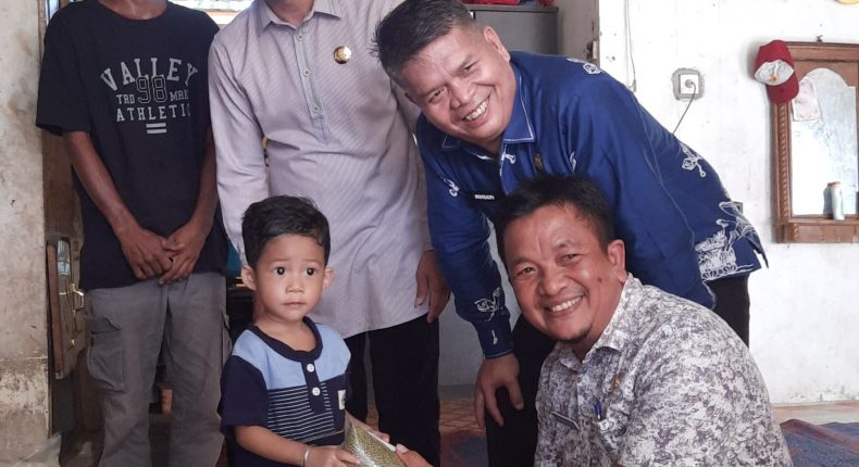 foto slider headline