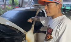 Keadilan Harus Ditegakkan, Kecaman Keras Atas Aksi Teror Molotov!