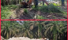 Polda Riau Diminta Bertindak Tegas Tangkap Inisial RD Diduga Pemilik Ekskavator PETI di Sentajo Raya