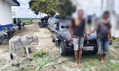 Warga Hubungi 110, Dua Pencuri Anak Lembu di Simalungun Dibekuk Usai Kabur Pakai Sedan dan Tabrak Pemotor