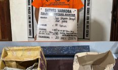 Polres Pematangsiantar Ungkap Peredaran Ganja 7 Kg, Satu Tersangka Ditangkap