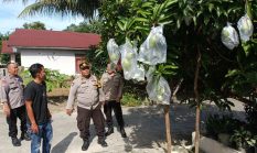 Polsek Bukit Raya Polresta Pekanbaru Edukasi Warga Manfaatkan Pekarangan Rumah