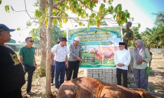 Sapi Kurban Bantuan Presiden Prabowo Dipotong di Ponpes Iman Saleh Inuman