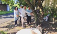 Hari Raya Idul Adha 1447 H, Polres Binjai Sembelih 7 Ekor Sapi dan 3 Ekor Kambing