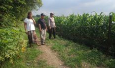 Polisi dan Petani Optimalkan Lahan Jagung untuk Dukung Swasembada Pangan Nasional