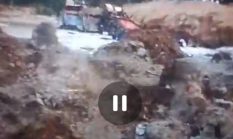 PETI Masih Beroperasi di Jantung Kota Teluk Kuantan, Tidak Ada Tindakan APH Setempat