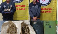 Kurir dan Pengedar Ganja di Bintang Mersada Berhasil Dibekuk Polres Dairi