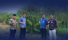 LAPASTIK Kelas IIB Rumbai Melaksanakan Kegiatan Pembersihan Kebun Durian