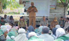 Bunga Raya Jadi Lumbung Pangan, Pemkab Siak Dapat Luas Penanaman 70.000 Hektar