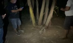 Respon Laporan Warga Polres Langkat Musnahkan Gubuk Penyalahgunaan Narkoba