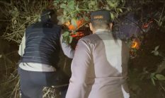 Hanguskan 5 Hektare Lahan di Mamasa, Polisi dan Damkar Berjibaku Padamkan Api