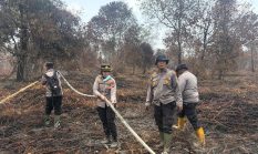 Riau Zero Karhutla, Satgas Tetap Siaga Cegah Api
