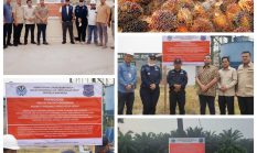 Melanggar Pidana, Komisi XII DPR RI dan Gakkum KLH Segel 6 PKS di Kuansing