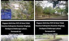 PETI Kembali Beroperasi Dekat Kantor DPRD Kuansing, Ketua DPRD: Saya Minta Segera Ditertibkan!!