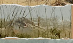 Aktivitas PETI di Gunung Toar Dilaporkan ke Kapolsek Kuantan Mudik